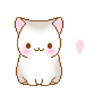 GIF of a cat