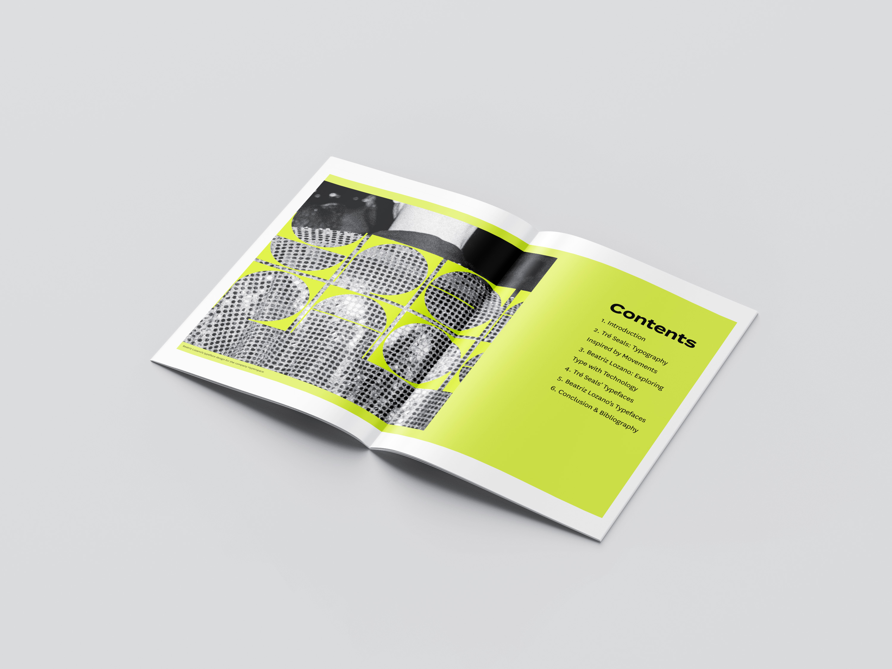 Mockup cover of booklet